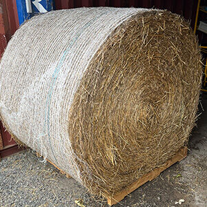 Hay, Round Bales